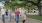 a group of people walking past a tree
