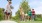 a group of people playing golf